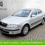 Skoda-Octavia-1.9-TDI-2006-(13)