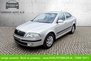 Skoda-Octavia-1.9-TDI-2006-(13)