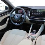 Skoda-Octavia-2.0-TDI-2020-(40)