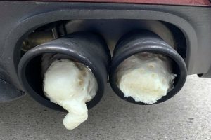 afros eksatmiseis mustang2