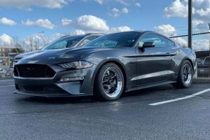 afros eksatmiseis mustang3