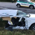 skoda octavia kopike sta dyo2