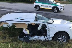 skoda octavia kopike sta dyo2