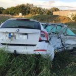 skoda octavia kopike sta dyo4