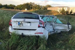 skoda octavia kopike sta dyo4