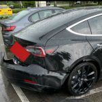 tesla pisw profylaktiras2