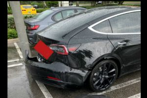 tesla pisw profylaktiras2