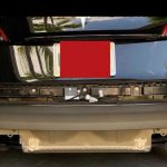 tesla pisw profylaktiras3