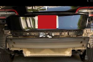 tesla pisw profylaktiras3