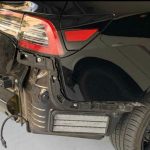 tesla pisw profylaktiras4