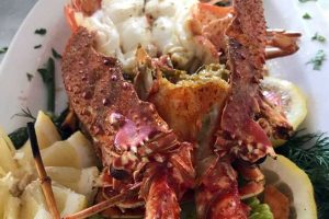 Ψαροταβέρνα Remetzo Αίγινα (2)