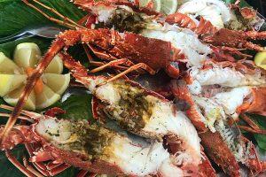 Ψαροταβέρνα Remetzo Αίγινα (4)