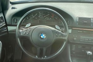 BMW-5-Series-E39-pickup-2-(3)