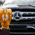 GOLDENER_GEIER-2020-(1)