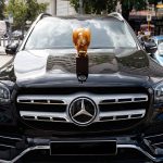 GOLDENER_GEIER-2020-(2)