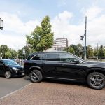 GOLDENER_GEIER-2020-(3)