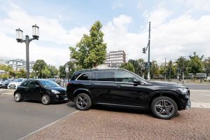 GOLDENER_GEIER-2020-(3)