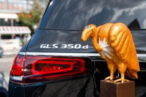 GOLDENER_GEIER-2020-(4)