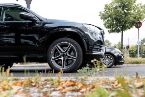 GOLDENER_GEIER-2020-(5)