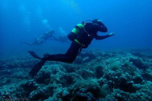 Porto-Rafti-Aqua-Team