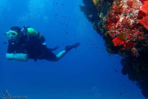 Porto-Rafti-Aqua-Team-4