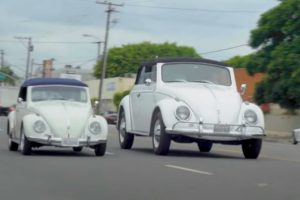 beetle larger than hummer