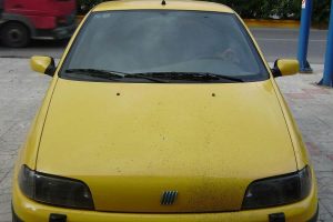 Fiat-LPG-EuropeGAS-(6)