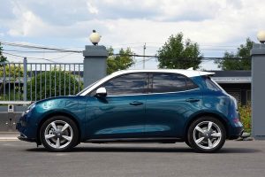 Great-Wall-ORA-Good-Cat-(10)