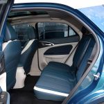 Great-Wall-ORA-Good-Cat-(11)