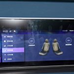 Great-Wall-ORA-Good-Cat-(12)