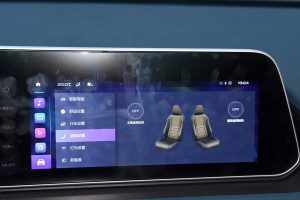 Great-Wall-ORA-Good-Cat-(12)