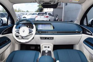 Great-Wall-ORA-Good-Cat-(2)