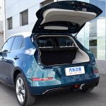 Great-Wall-ORA-Good-Cat-(5)