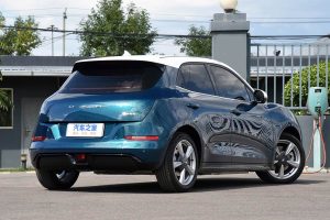 Great-Wall-ORA-Good-Cat-(9)