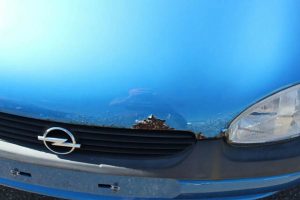 Opel-Corsa-Edition-2000-(5)