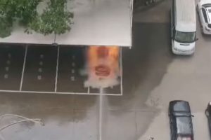 ilektriko anatinaksi