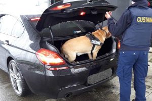 money-laundering-cars-(5)