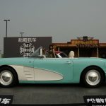 songsang ss dolphin 10