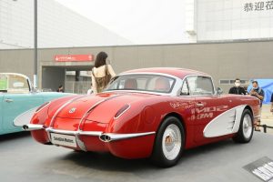 songsang ss dolphin 4