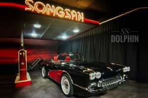 songsang ss dolphin 6