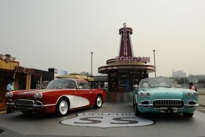 songsang ss dolphin 7