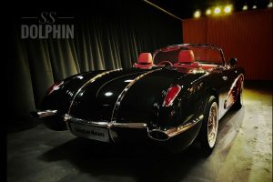 songsang ss dolphin 8