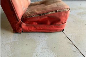 1952 corvette seats 10