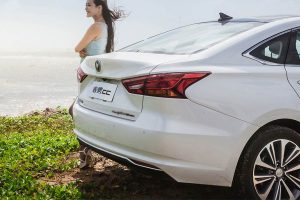 Changan_Raeton_CC_2020-(9)