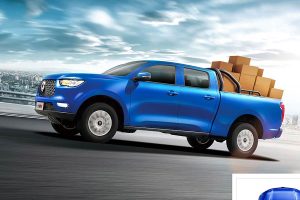 Great Wall Motors Cannon (12)