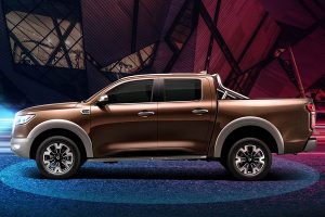 Great Wall Motors Cannon (13)