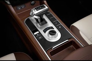 Great Wall Motors Cannon (17)