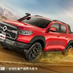 Great Wall Motors Cannon (18)