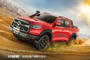 Great Wall Motors Cannon (18)