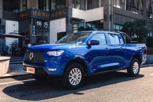 Great Wall Motors Cannon (4)